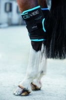 NEU !!! Horseware Ice-Vibe Hock Wrap Sprunggelenk black/aqua