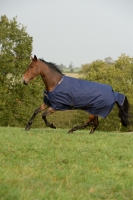 BUCAS Irish Turnout Medium 150g. blau