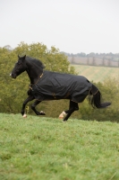 BUCAS Irish Turnout Medium 150g. schwarz