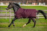 Horseware Amigo Hero 600D Ripstop lite 100g fig/ navy