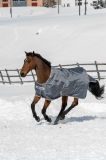 BUCAS Smartex Turnout medium iron 150 Gramm