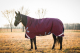 Abverkauf!!! Horseware Rambo WUG lite 50g burgundy