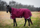 Abverkauf!!! Horseware Rambo WUG lite 50g burgundy