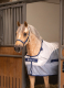 Bucas Buzz-Off Rain & Neck Fliegendecke Regendecke