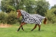 Bucas Buzz-Off & Neck Fliegendecke zebra