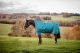 Abverkauf!!! Horseware Amigo Bravo 12 Wug lite storm green 125 cm