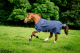 Abverkauf!!! Horseware RHINO Original 250g VL Medium Regendecke Navy/Titanium T-Verschluss