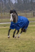 Bucas Atlantic Exclusive light navy inkl Halsteil