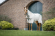 Horseware Rambo Hoody (Nachfolge Model Sweetitch Hoody) chalk/ hunter