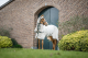 Horseware Rambo Hoody Pony (Nachfolge Model Sweetitch Hoody) chalk