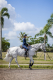 Horseware Amigo Flyrider Fliegenausreitdecke silver/ titan