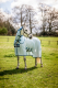 Horseware Amigo Bug Buster Plus azure blue
