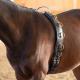 Kavalkade Bügel Longiergurt Leder schwarz Warmblut