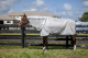Horseware Amigo® Bug Rug Plus XL Fliegendecke Silver/Titanium