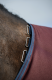 Horseware Amigo® Bravo 12 Plus Turnout 100g Burgundy
