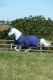 Bucas Atlantic Big Neck medium 200g blau 1680D Gr. 165 cm Regendecke Weidedecke