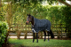Horseware RHINO WUG 100g lite Regendecke Black