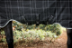 Horseware RHINO WUG 100g lite Regendecke Black