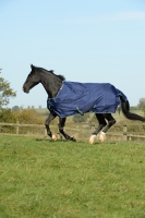 Bucas Smartex Turnout Rain Blau