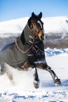 Horseware Rambo Supreme heavy Weidedecke schwarz/ orange EINZELSTÜCK