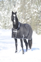 BUCAS Smartex Extra Winterdecke Schwarz