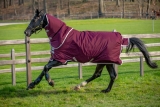 Horseware Amigo Hero 600D Ripstop lite 0g Plus feige Gr. 115 cm