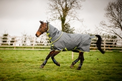 Horseware Amigo Hero 900 D Plus Disc lite 100g grey/ lime