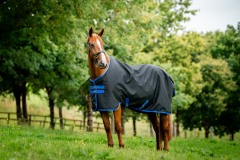 Horseware Amigo® Ripstop 900D Turnout (50g Light) black