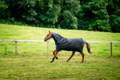 Horseware Amigo® Ripstop 900D Plus Turnout (100g Light) black