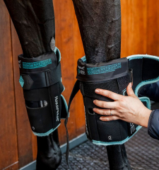 Horseware Ice-Vibe® Karpalgelenksgamaschen neues Model 2025