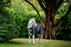 Abverkauf!!! Horseware Amigo ® Bravo 1200D Weidedecke 100g Black T-Verschlüsse