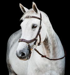 Horseware Micklem® 2 Multi Bridle braun