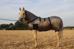 Hafer24 - Ekzemerdecke Strong Fliegendecke grau Comfort