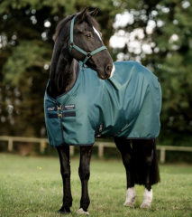 Horseware Amigo® Ripstop 900D Turnout (0g Light) dynasty green Regendecke
