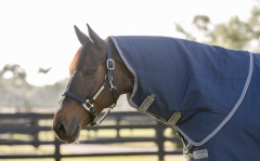 Horseware Rhino Original Hood Halsteil lite 0 g navy
