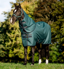Horseware Amigo® Ripstop 900D Plus Turnout (0g Light) dynasty green