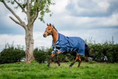 Horseware Amigo Bravo 12 Wug lite navy 50g